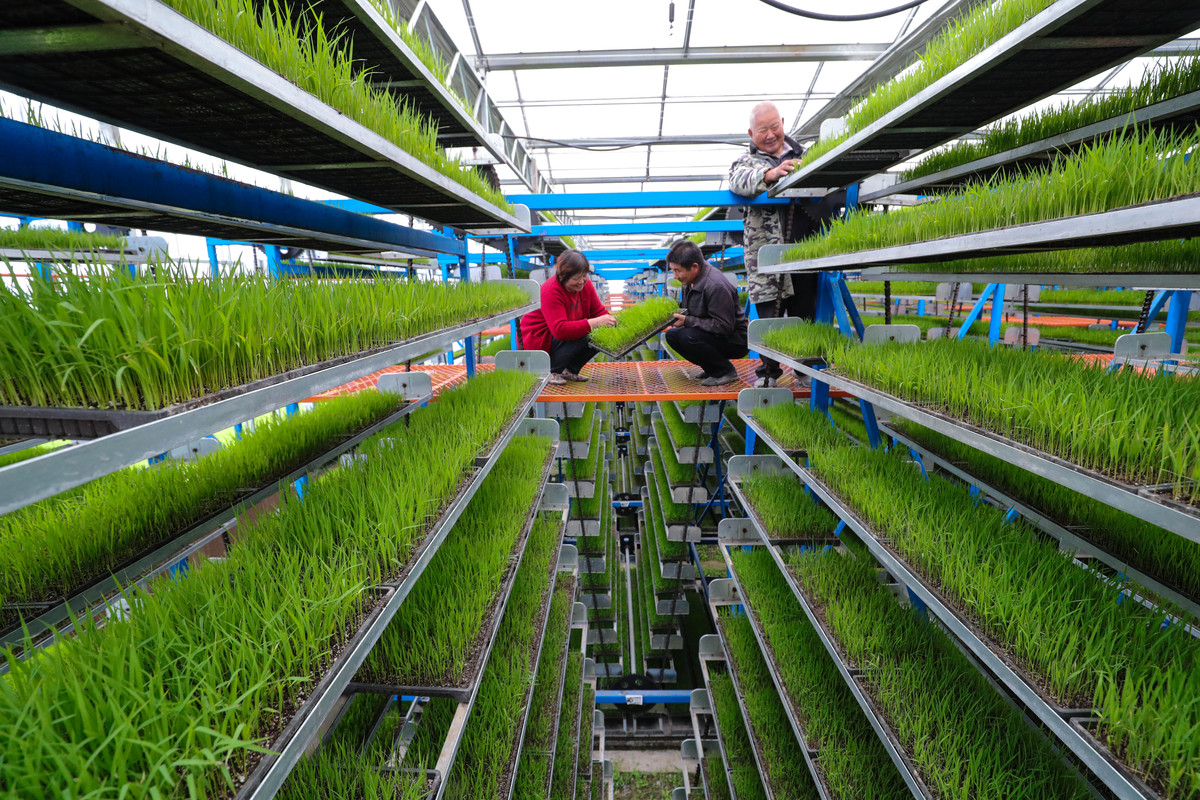 技术与应用 农业技术_国内农化行业最新资讯-世界农化网